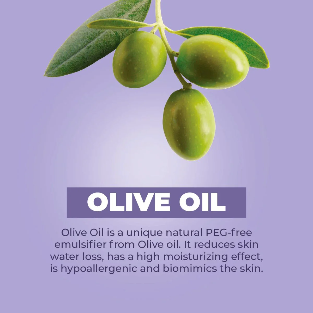 Baby Jolie Mom Care Stretch Marks Triple Action 7.5Oz - Image 9