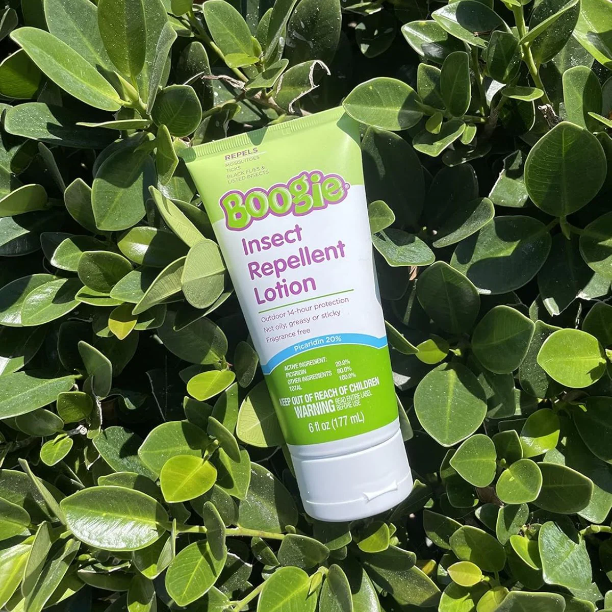 Boogie Insect Repellent Lotion with 20% Picaridin(Unscented) - 6.0 oz - Image 7