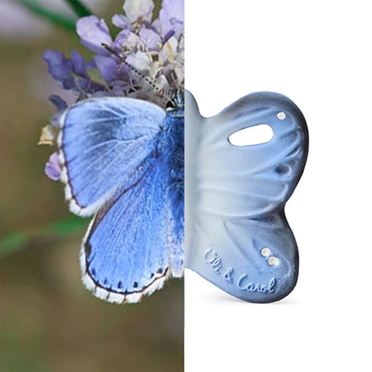 Olí & Carol Mini Teether - Blue The Butterfly - Image 6