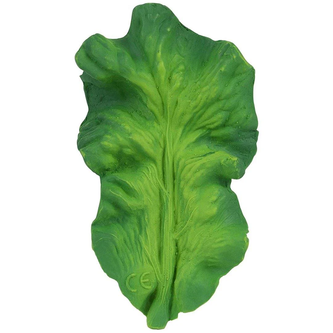 Oli & Carol Teether - Kendall the Kale