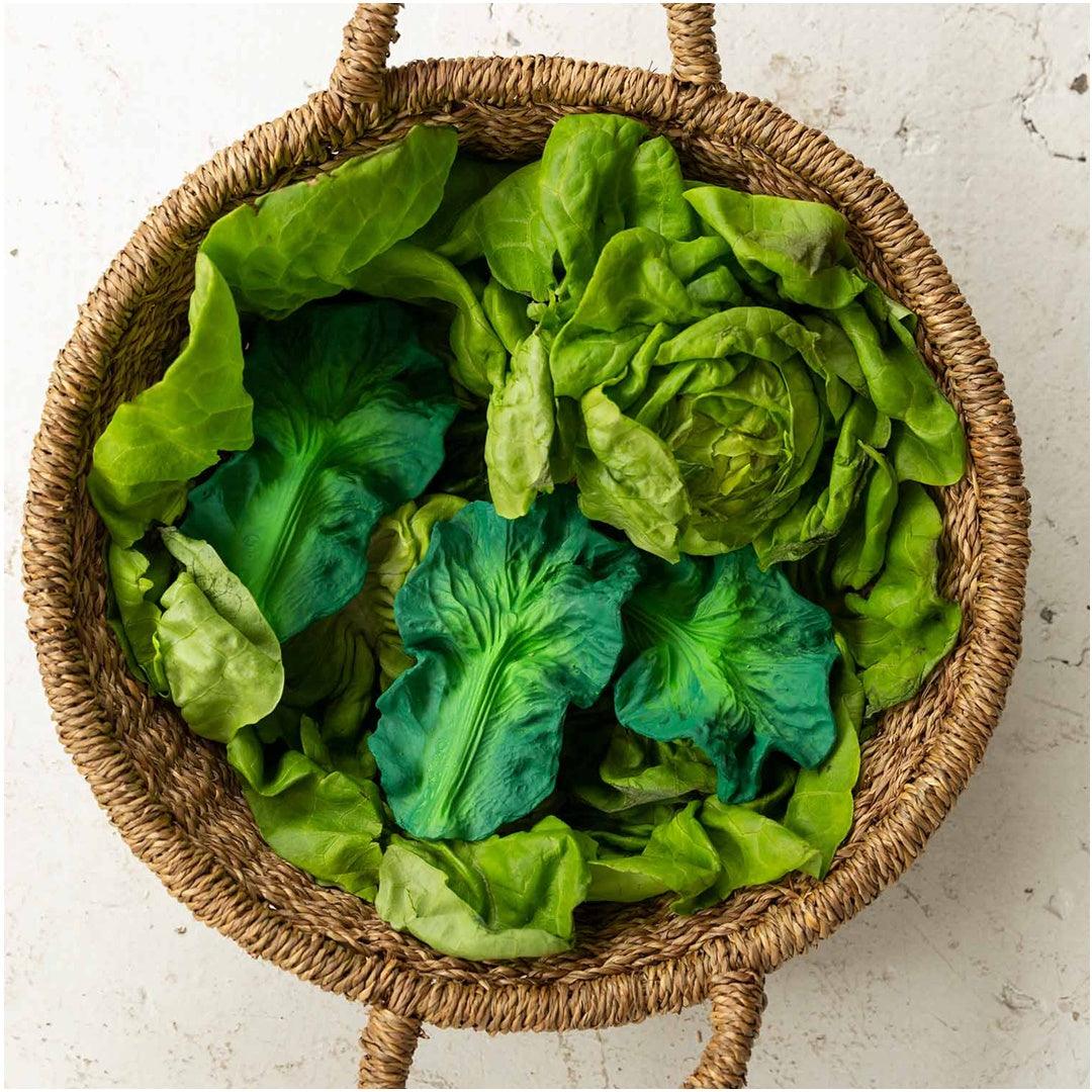 Oli & Carol Teether - Kendall the Kale - Image 7